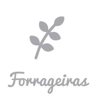 forrageiras